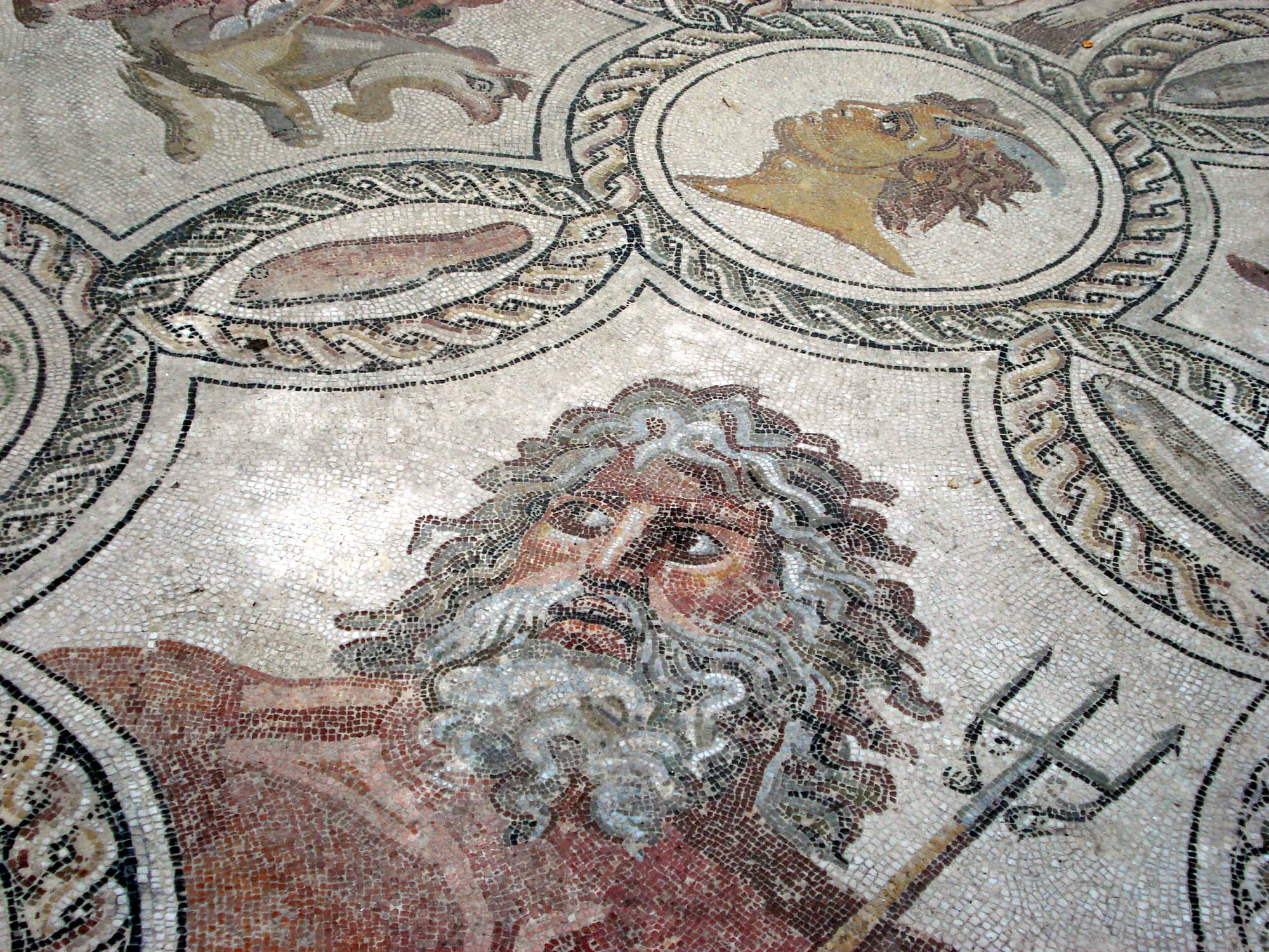 Mosaic of Neptune