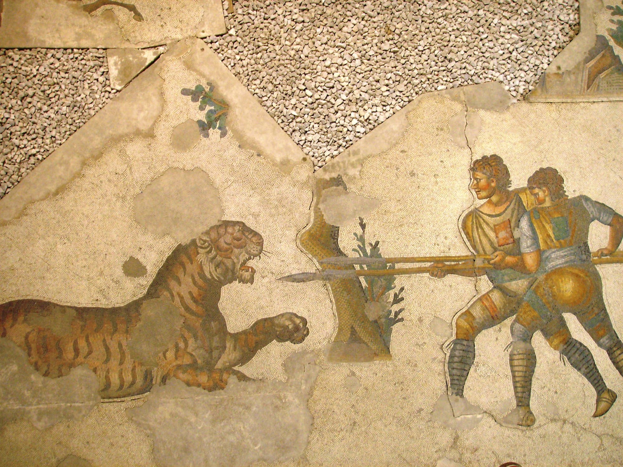 A 5th-century mosaic in the Great Palace of Constantinople depicts two venatores fighting a tiger