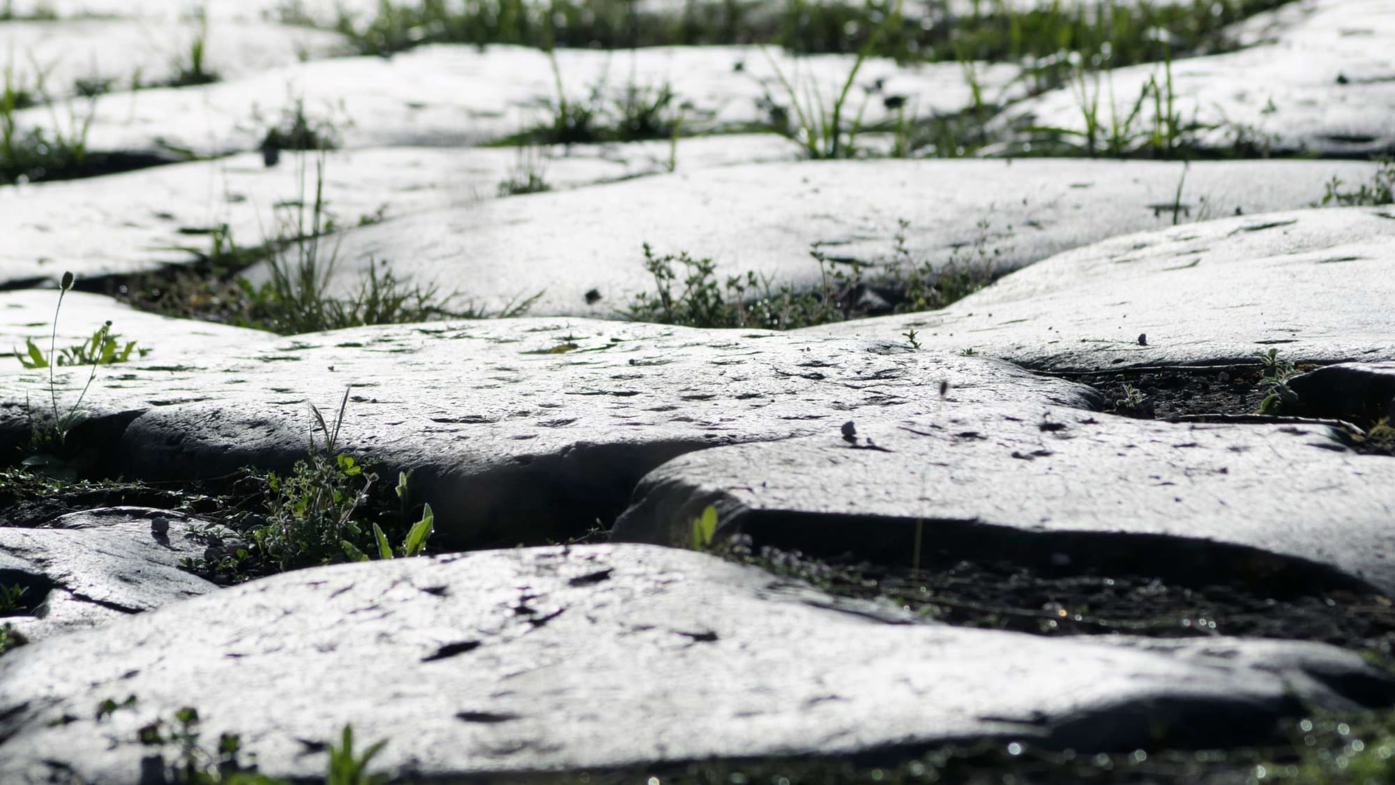 Detail of the Roman Appian Way