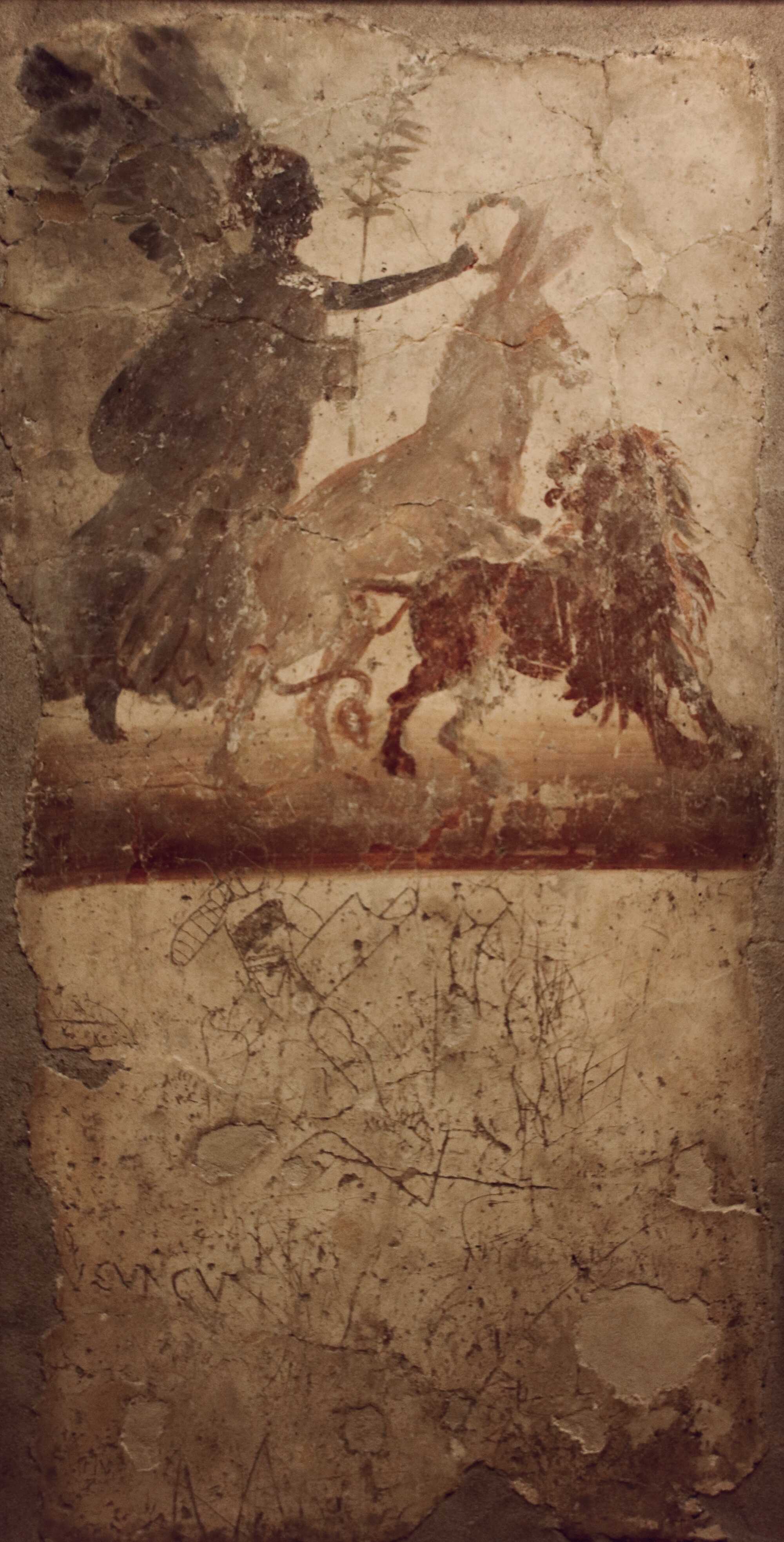 A secret cabinet fresco of a donkey penetrating a lion while the goddess Victoria crowns him; this fresco is laden with graffiti by gladiators, from a brothel in Pompeii