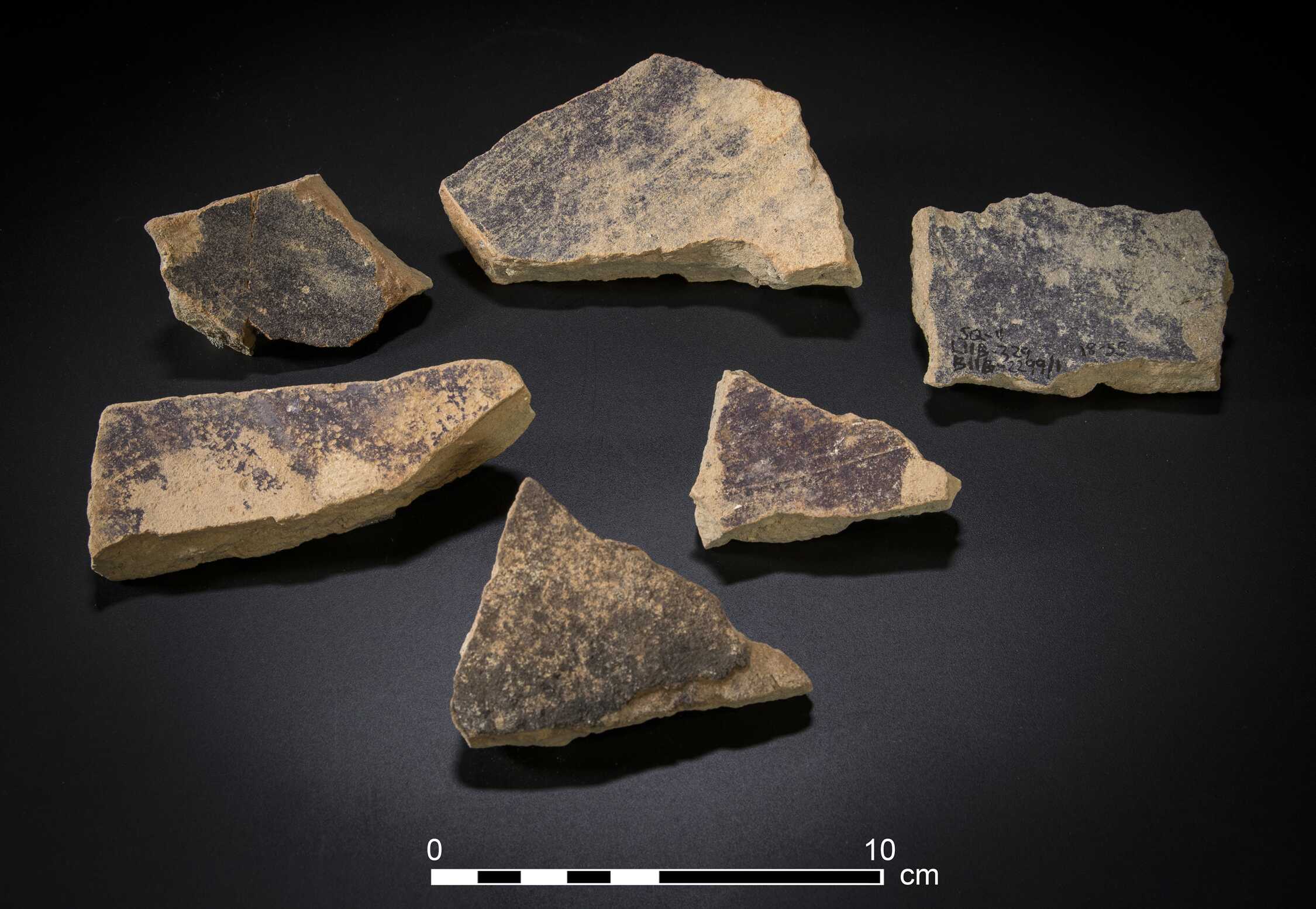 Photo of body sherds of purple dye vats with purple dye remains