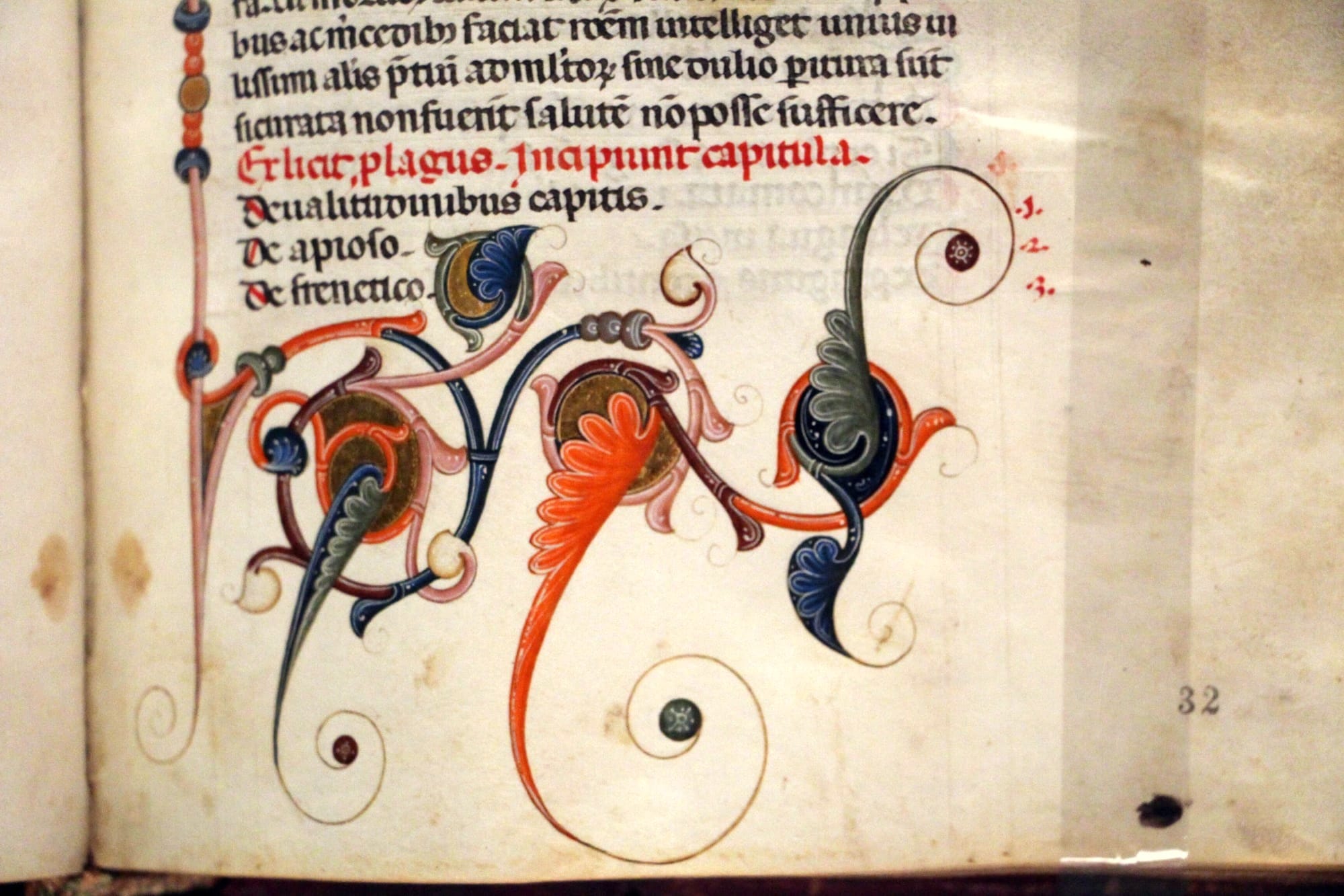 Detail from Vegetius' book Mulomedicina