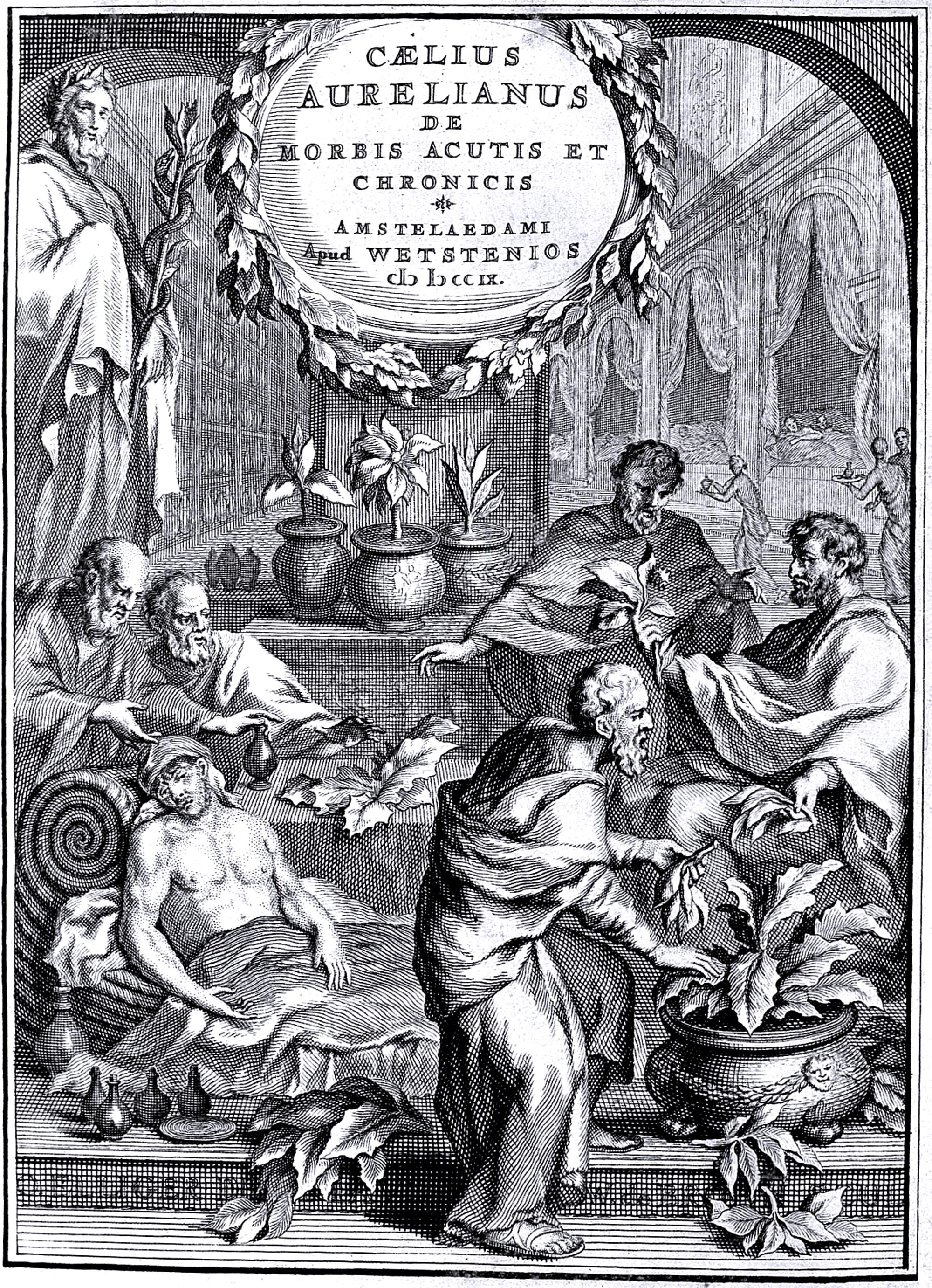 Caelius Aurelianus. De morbis acutis & chronicis libri VIII. Ηerbs given to the sick.